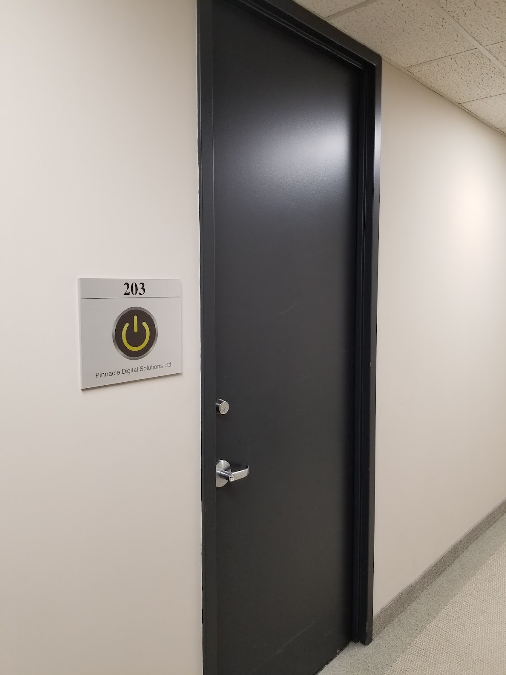 Pinnacle Digital Solutions Ltd | 6200 Dixie Rd Unit 203, Mississauga, ON L5T 2E1, Canada | Phone: (905) 203-1941