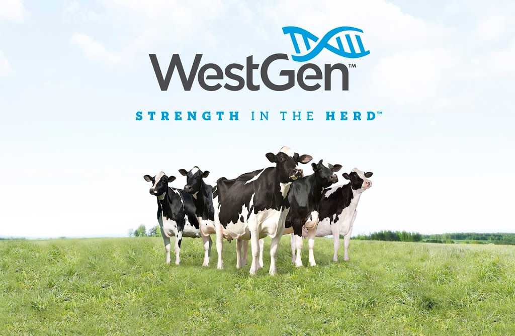Westgen | 1625 Angus Campbell Rd, Abbotsford, BC V3G 2G4, Canada | Phone: (604) 426-1944