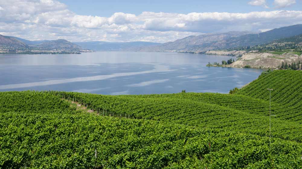 G&G Real Estate Group | 251 Harvey Ave, Kelowna, BC V1Y 6C2, Canada | Phone: (778) 760-3373