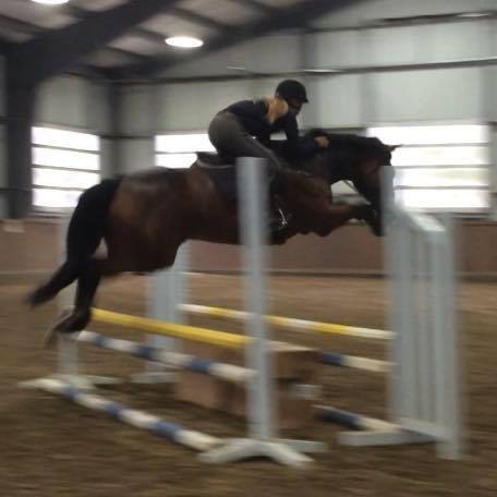 Candor Equestrian | 41449 Government Rd #12, Squamish, BC V8B 0G4, Canada | Phone: (604) 848-5911