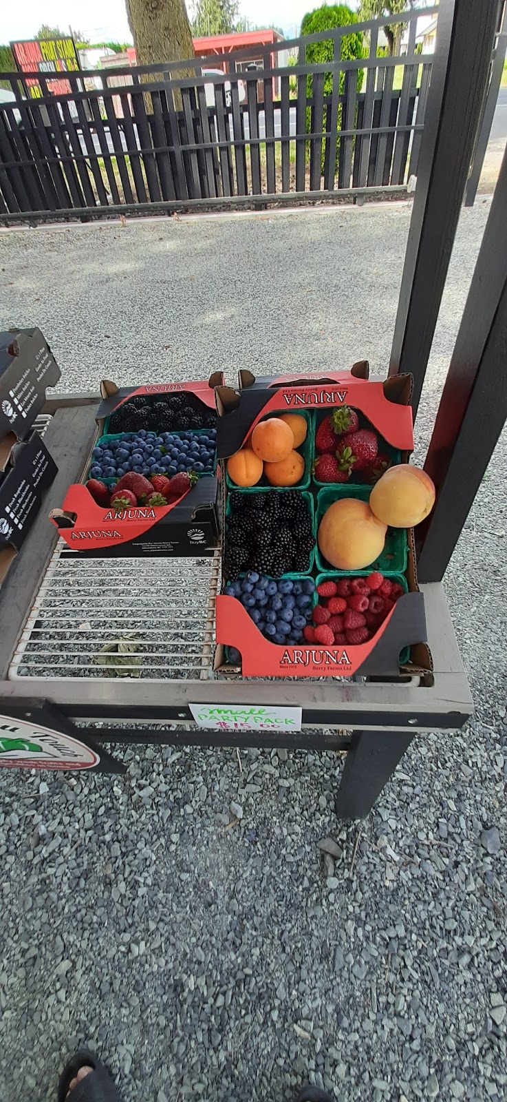 Arjuna Berry Farms Ltd | 32320 Huntingdon Rd, Abbotsford, BC V2T 5Y7, Canada | Phone: (604) 556-9055