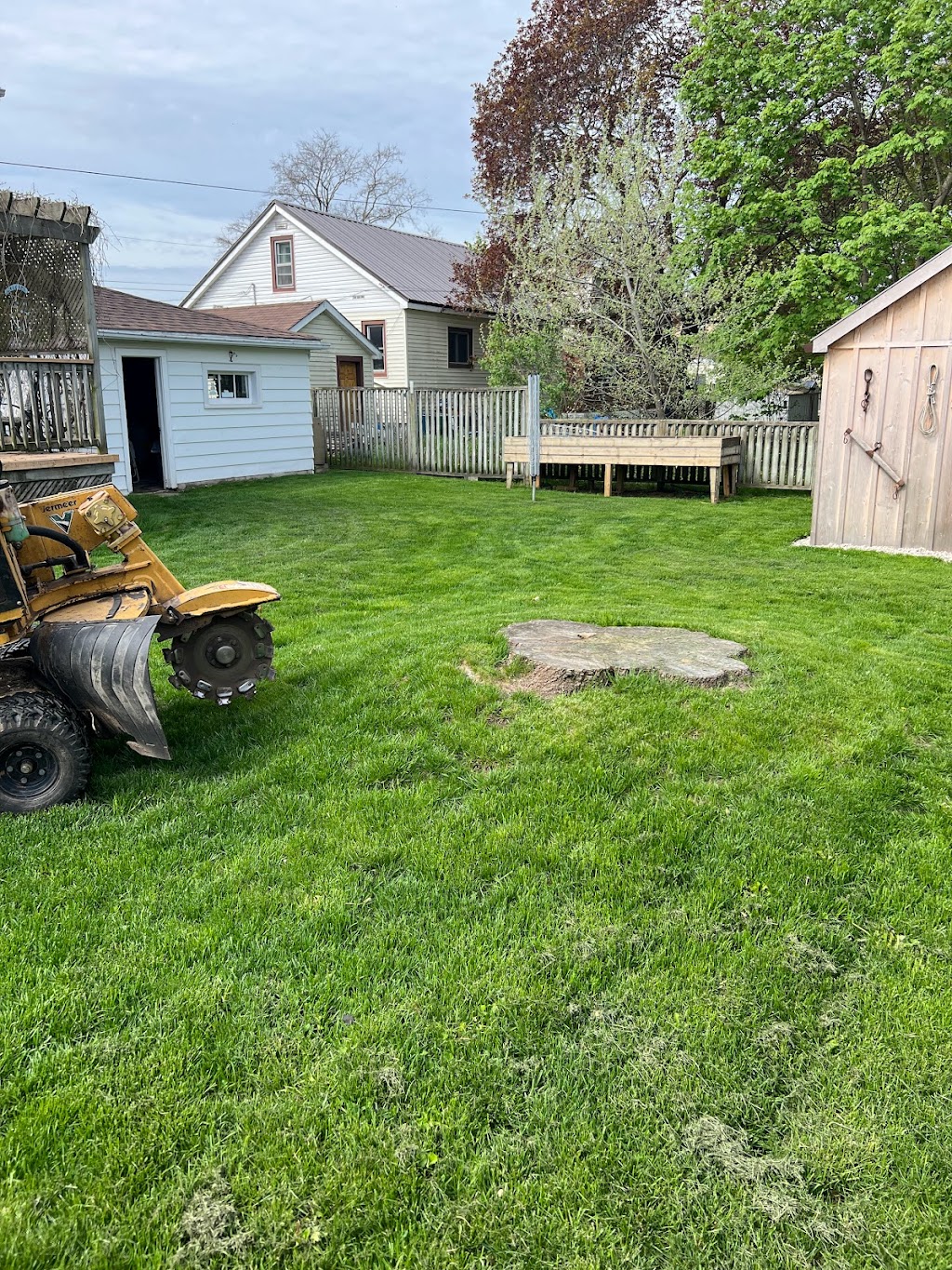 Dynamic Stump Grinding | 9 Dietz St, Mildmay, ON N0G 2J0, Canada | Phone: (204) 939-3371