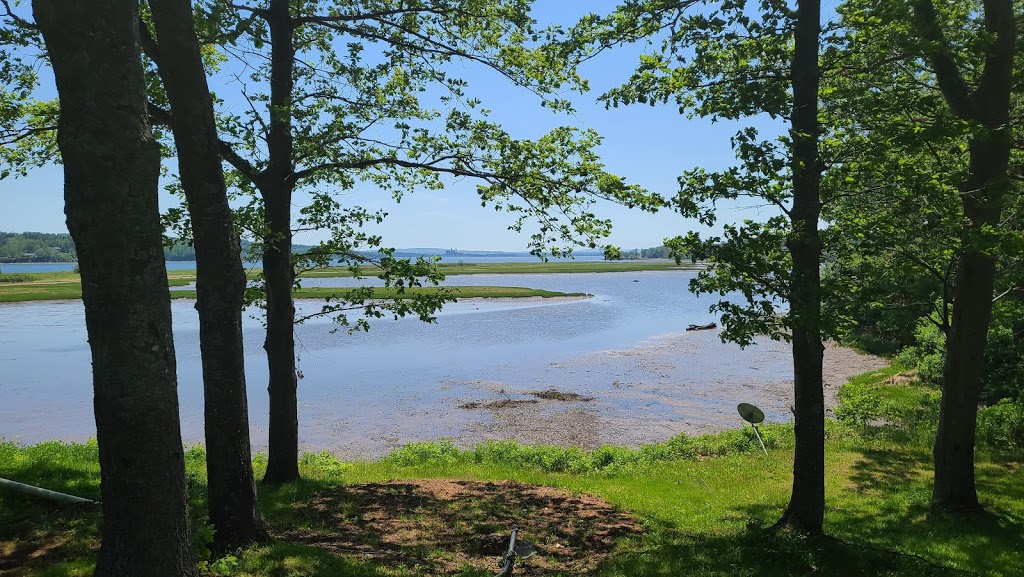 Harbour Light Campground | 2881 Three Brooks Rd, Pictou, NS B0K 1H0, Canada | Phone: (902) 485-5733