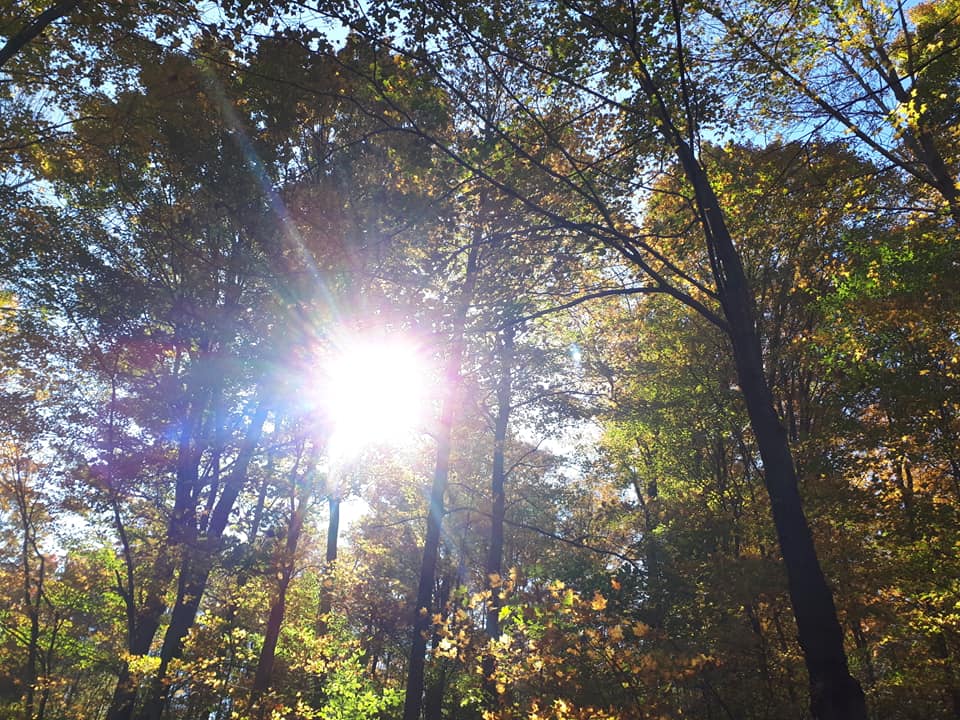 Natures Hideaway Massage Therapy | 261383, Concession Rd 18, Hanover, ON N4N 3B8, Canada | Phone: (519) 506-1439