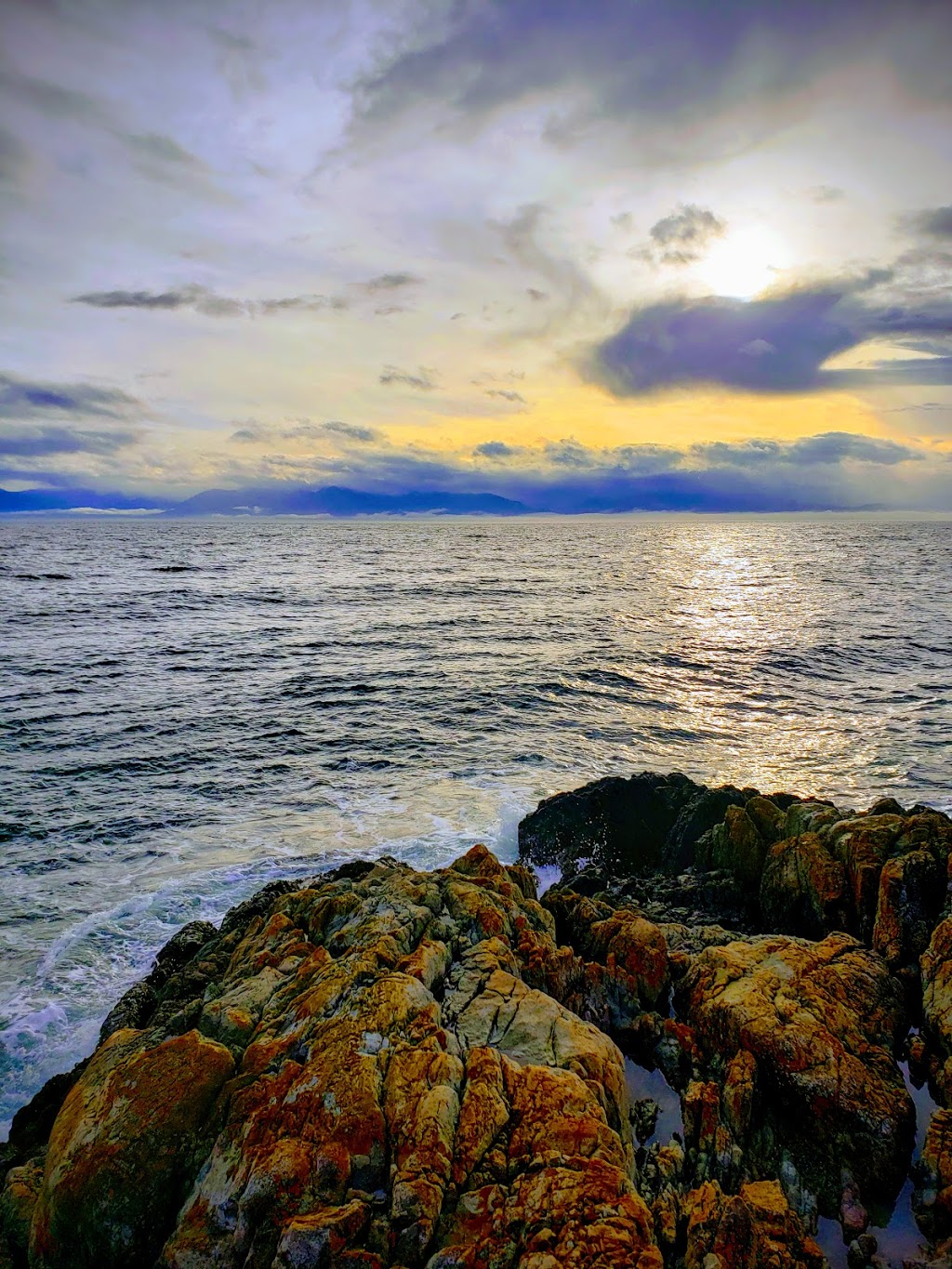 Beacon Hill Park | 100 Cook St, Victoria, BC V8V, Canada | Phone: (250) 361-0600