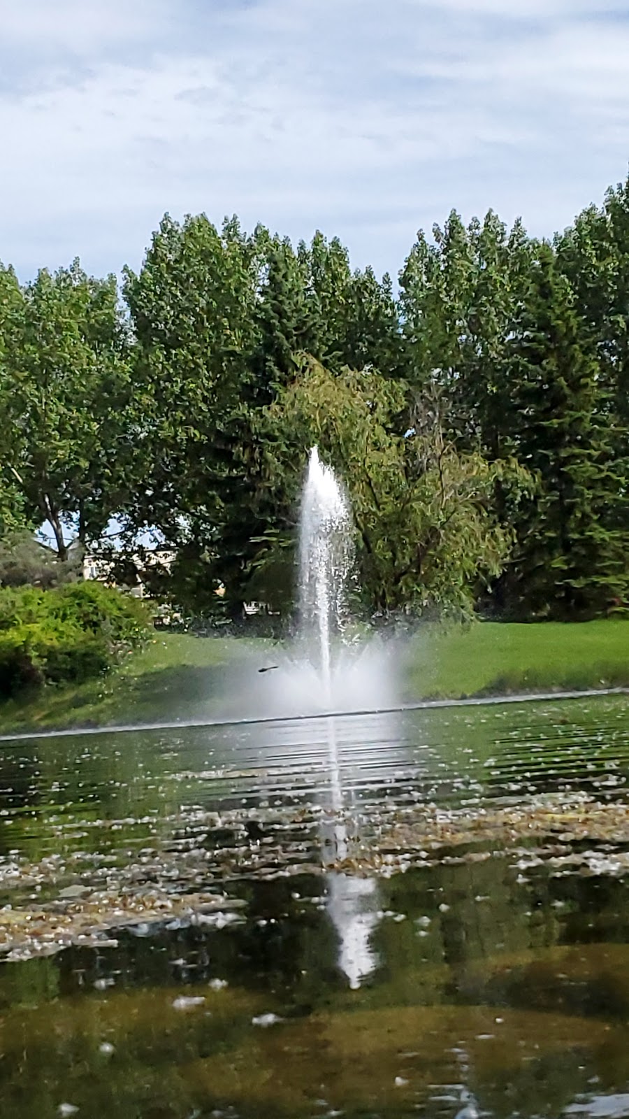Bower Ponds | 4715 Fountain Dr, Red Deer, AB T4N 6W4, Canada | Phone: (403) 318-6298