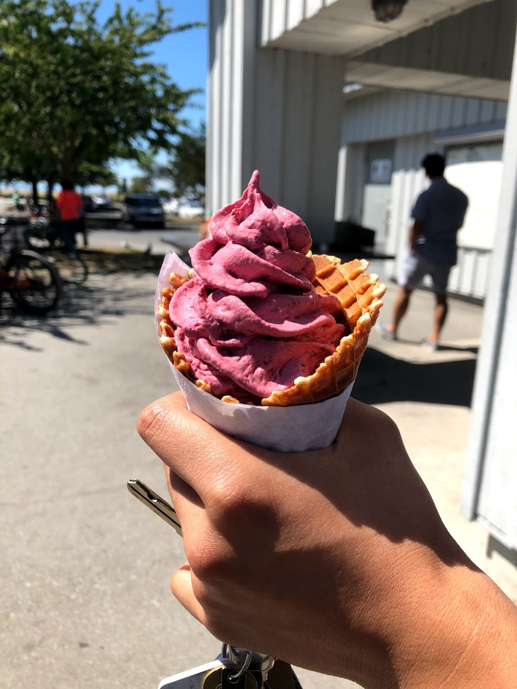 Timothys Frozen Yogurt Ltd | 3800 Bayview St, Richmond, BC V7E 5W3, Canada | Phone: (604) 275-7547