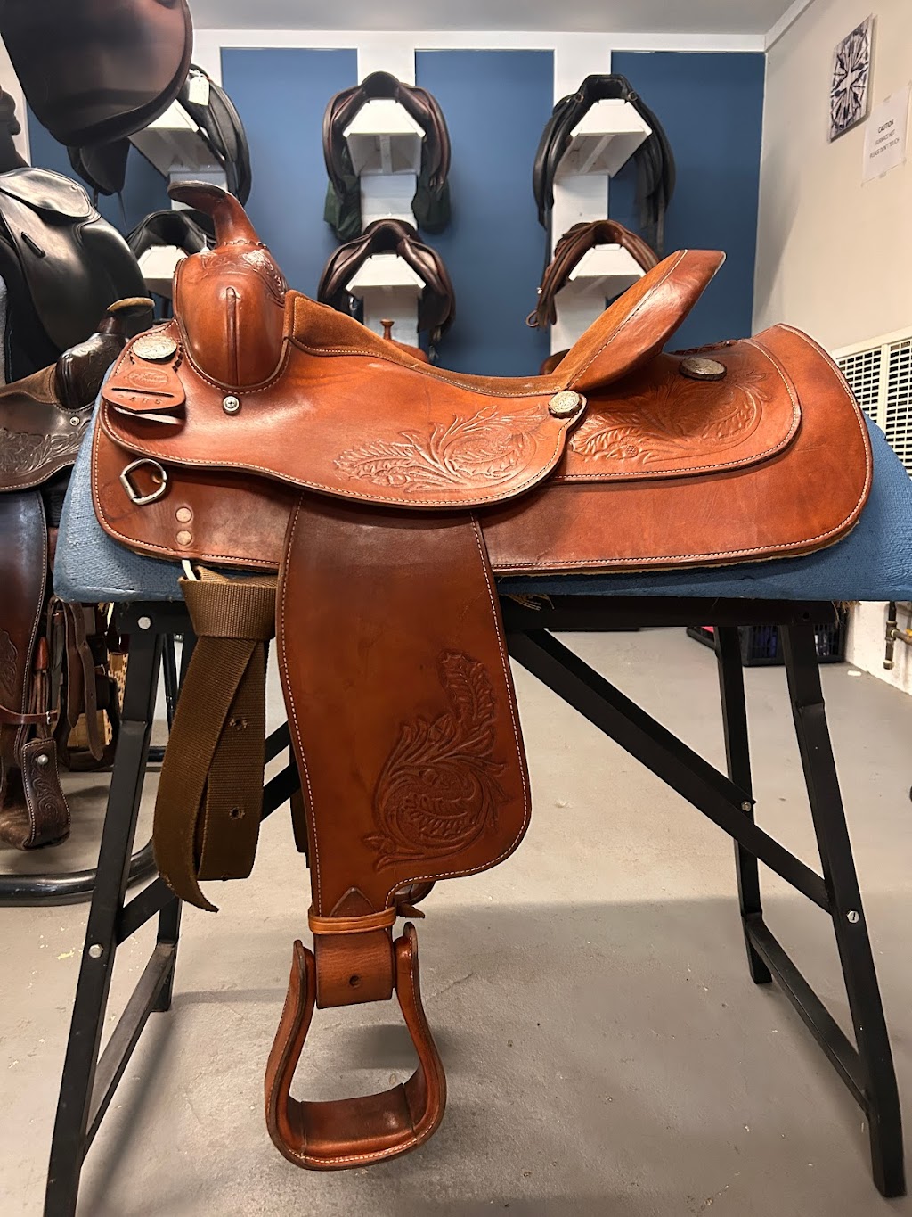 Evolution Equestrian Co. | 5352 N Island Hwy Unit C, Courtenay, BC V9J 1S9, Canada | Phone: (250) 207-2747