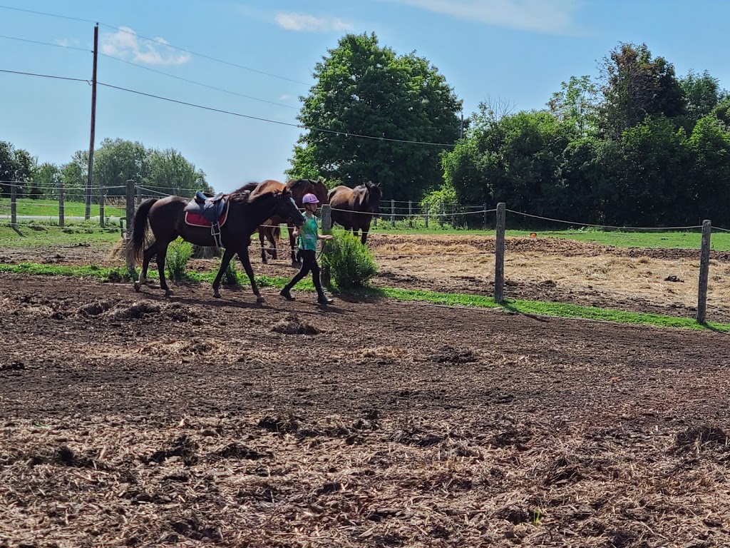 Heartland Equestrian | 9570 Duffs Rd, Ashburn, ON L0B 1A0, Canada | Phone: (905) 655-8968