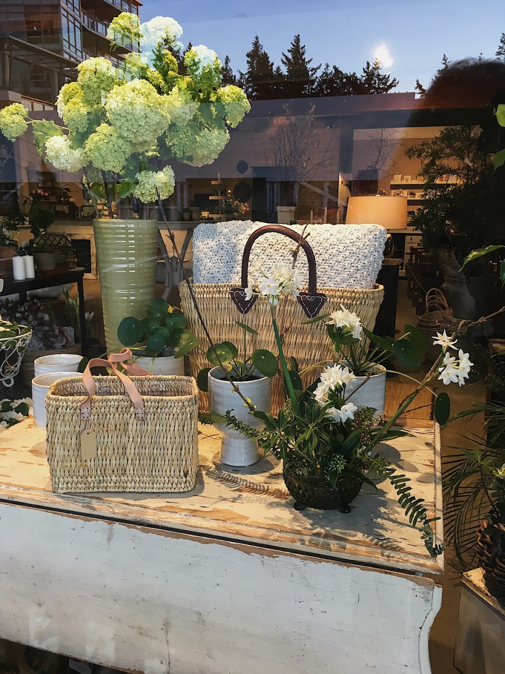 Flowers & Company | 1446 Johnston Rd, White Rock, BC V4B 3Z5, Canada | Phone: (604) 531-0015