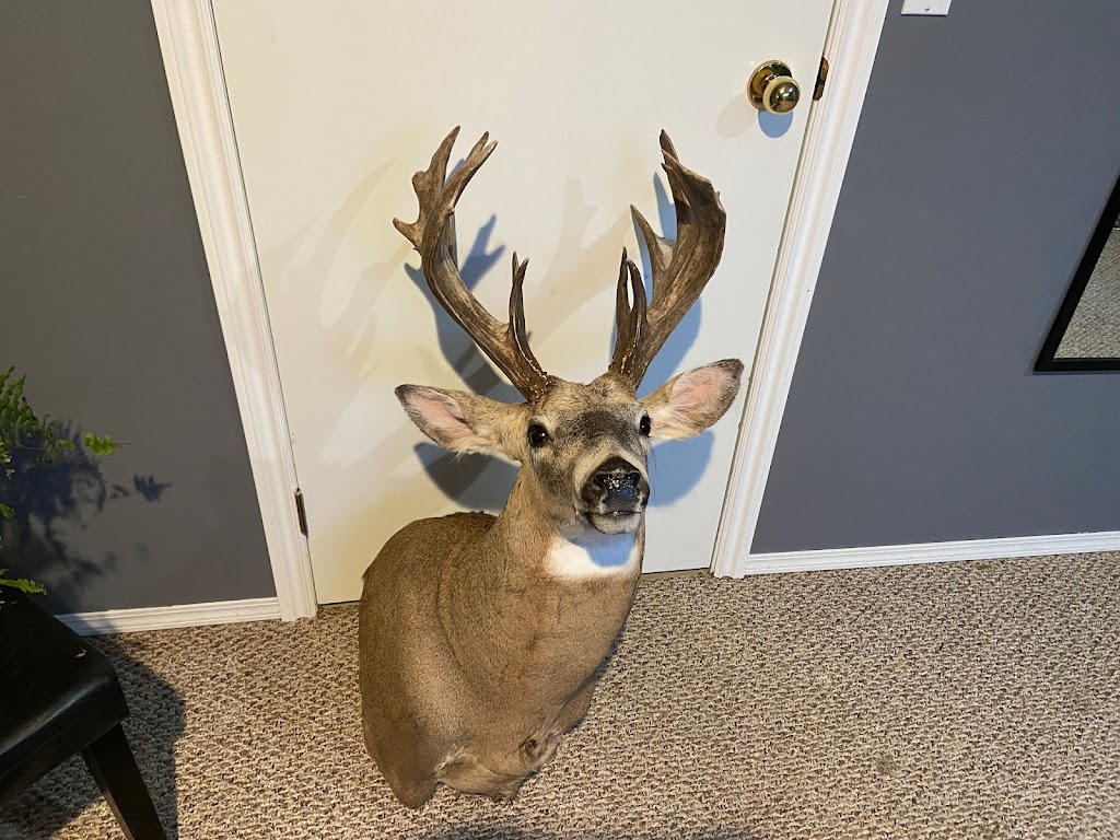 Pipestone Taxidermy | Township Rd 472A, Falun, AB T0C 1H0, Canada | Phone: (587) 568-8861