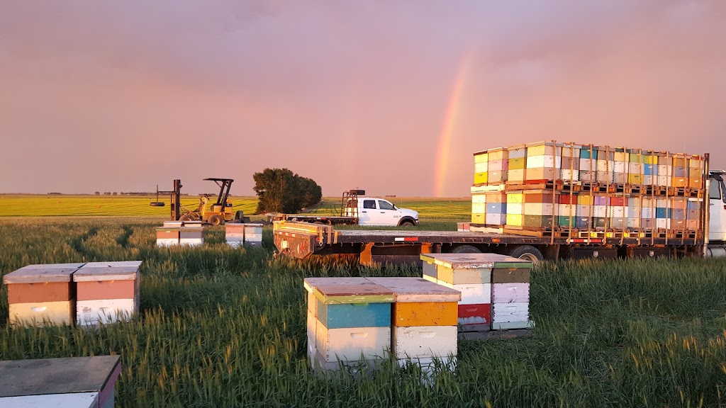 Pleasant Valley Honey Producers LTD | 272072 AB-13, Falun, AB T9A 1W8, Canada | Phone: (780) 352-2266