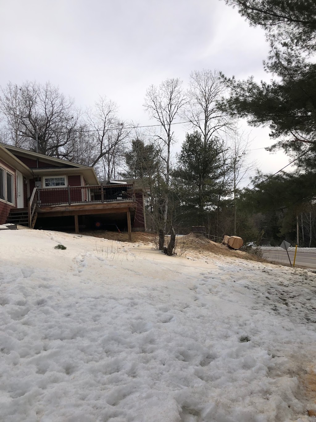 Haliburton Tree Care | 479 Mountain St, Haliburton, ON K0M 1S0, Canada | Phone: (705) 457-7199