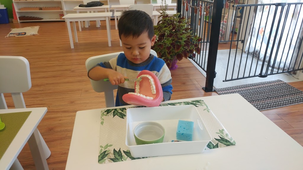 Tomas Montessori Childcare | 7880 6th St, Burnaby, BC V3N 3N3, Canada | Phone: (604) 553-6116
