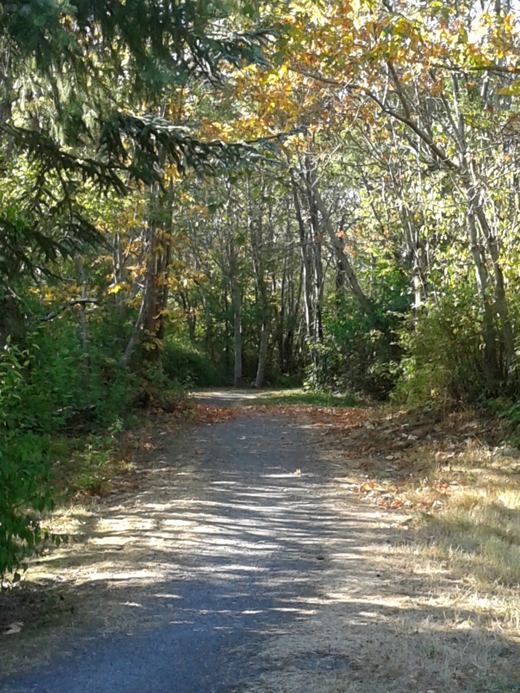 Marine Drive Park | 1025 Marine Dr, Bellingham, WA 98225, USA