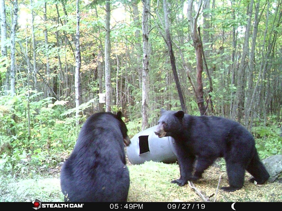 Hardwoods and Swamps Outfitters | 3239 Kushog Lake Rd, Algonquin Highlands, ON K0M 1J2, Canada | Phone: (705) 306-2916