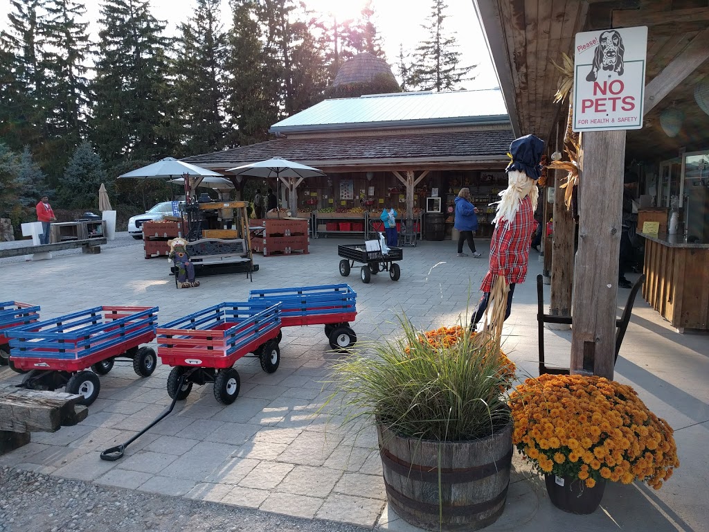 Orchard Home Farm | 235 Howell Rd, Saint George, ON N0E 1N0, Canada | Phone: (519) 448-1111