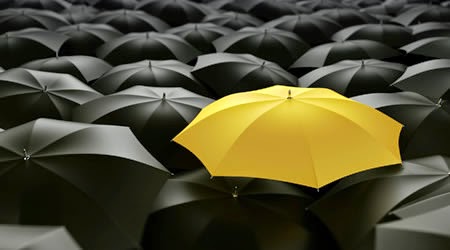 Waterloo Web Works | 642 Beechwood Dr, Waterloo, ON N2T 2J7, Canada | Phone: (519) 580-7828