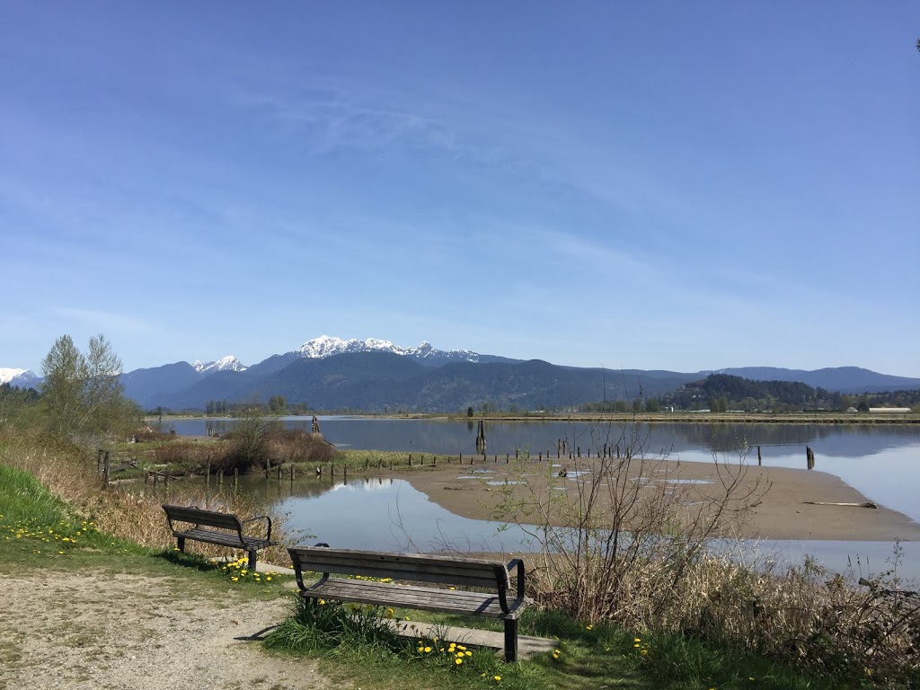 De Boville Slough | 4110 Cedar Dr, Coquitlam, BC V3E 3H7, Canada | Phone: (604) 927-7946