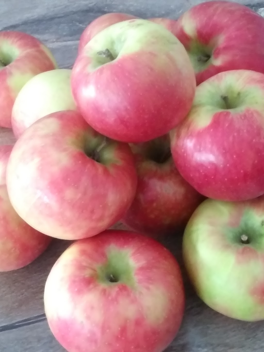 Scotview Orchards | 159 Norwich Rd, Scotland, ON N0E 1R0, Canada | Phone: (519) 446-2476