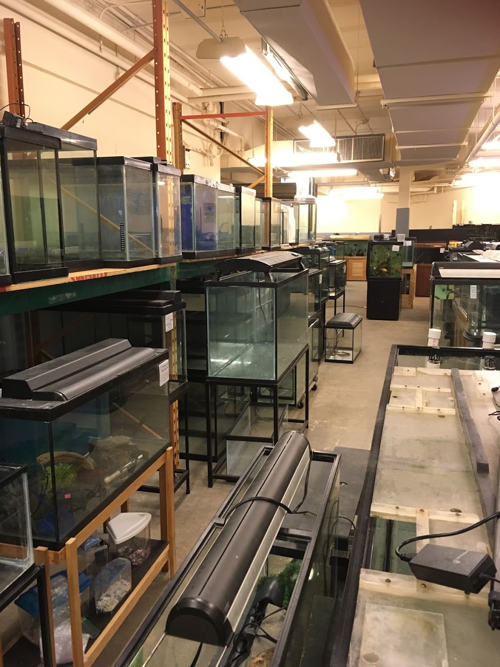 Lentrepôt de laquarium usagée | 3005 Rue Brodeur O, Granby, QC J2J 0H7, Canada | Phone: (450) 521-8781