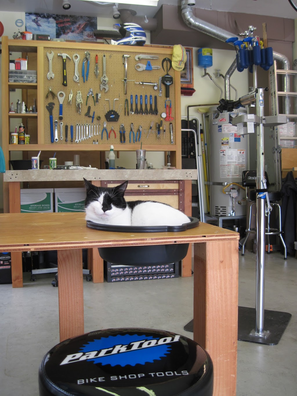 Roberts Bicycle Repair | 1312 Ethan Ct, Bellingham, WA 98226, USA | Phone: (360) 739-9727