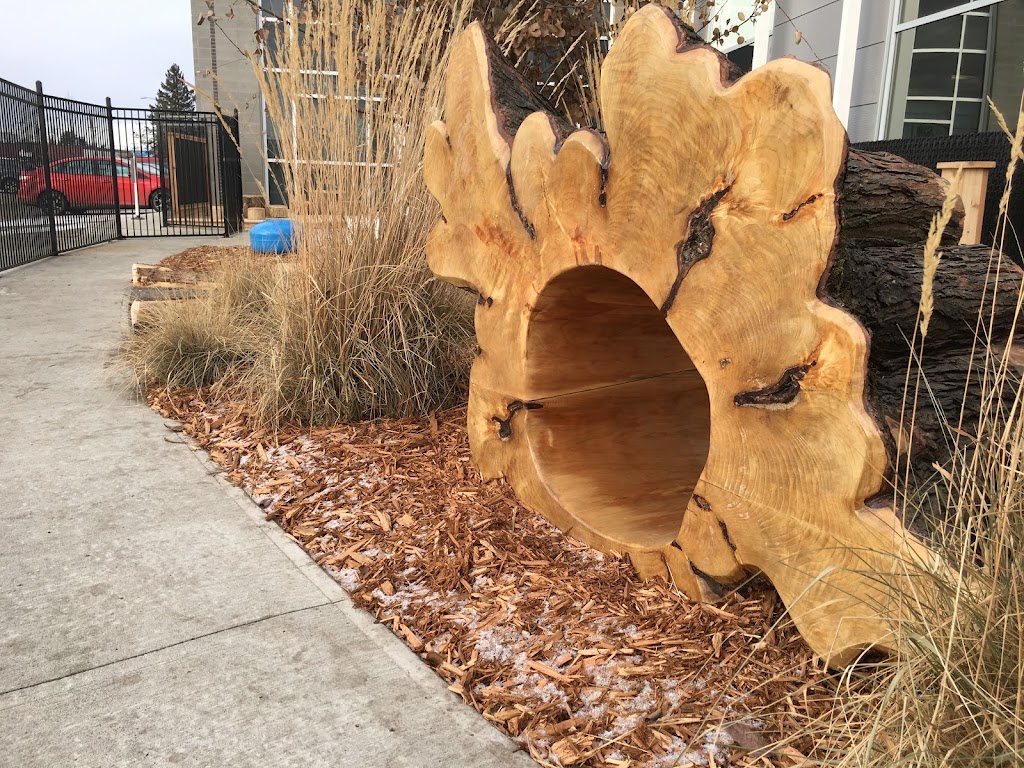 Kepler Academy Early Learning and Child Care - West Edmonton | 16826 107 Ave NW #104, Edmonton, AB T5P 4C3, Canada | Phone: (780) 700-9427