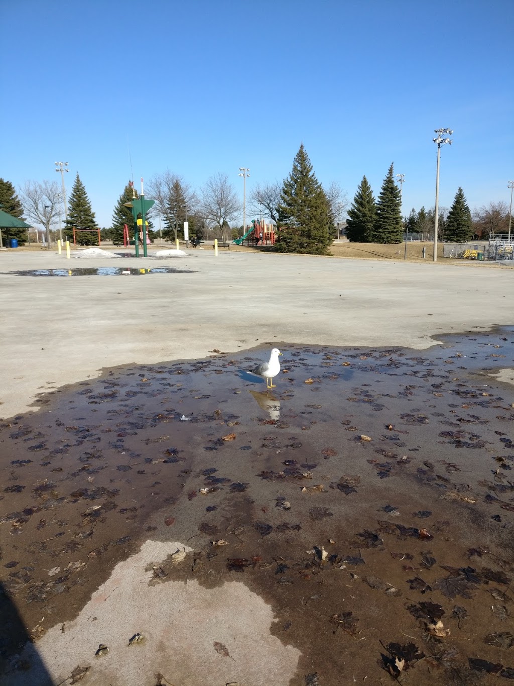 Dufferin Clark Community Centre | 1441 Clark Ave W, Thornhill, ON L4J 7R4, Canada | Phone: (905) 832-8554