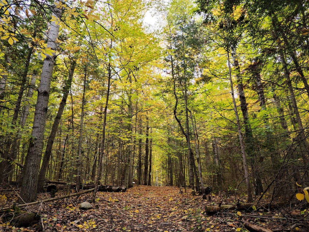 HR Frink Conservation Area and Outdoor Education Centre | 381 Thrasher Rd, Plainfield, ON K0K 2V0, Canada | Phone: (613) 968-3434