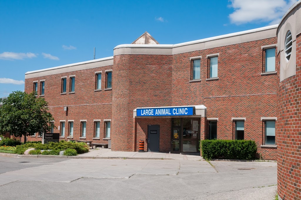 OVC Large Animal Clinic OVC 28 College Ave W Guelph ON N1G 2W1 Canada   C368784fd057aa5a25ff2ce72ac1edf6  Ontario Wellington County Guelph Ovc Large Animal Clinic 519 823 8840html 