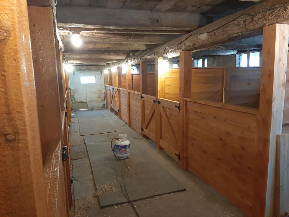 Aisling Farms | 202045, ON-21, Owen Sound, ON N4K 5N7, Canada | Phone: (519) 377-7031
