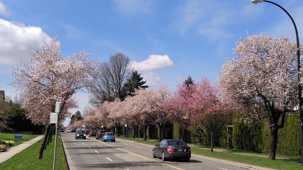 Granville Park | 3001 Fir St, Vancouver, BC V6J 5M9, Canada | Phone: (604) 873-7000