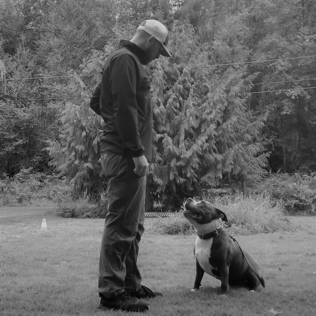 The Durable Dog | 2734 Tintern Rd, Qualicum Beach, BC V9K 1Y2, Canada | Phone: (250) 668-2978