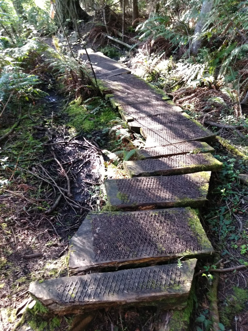 Sharpe Park | 14644-, 14676 Rosario Rd, Anacortes, WA 98221, USA