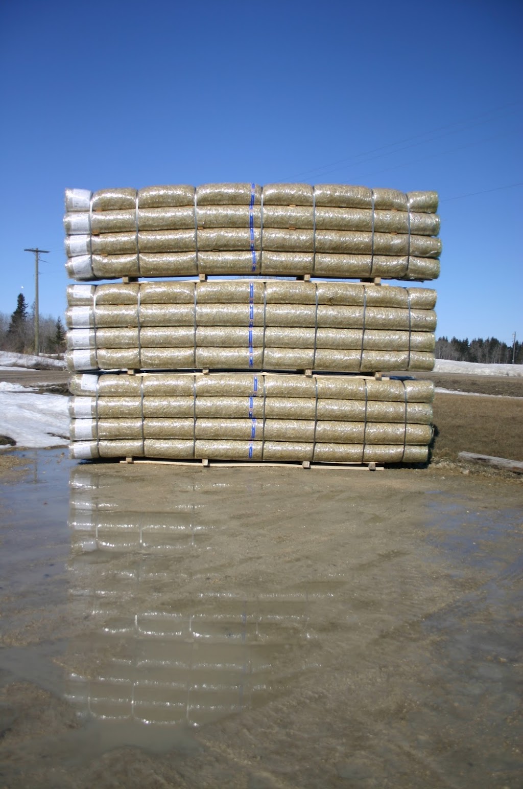 ECBVerdyol | Box 69, Riverton, MB R0C 2R0, Canada | Phone: (204) 378-2142