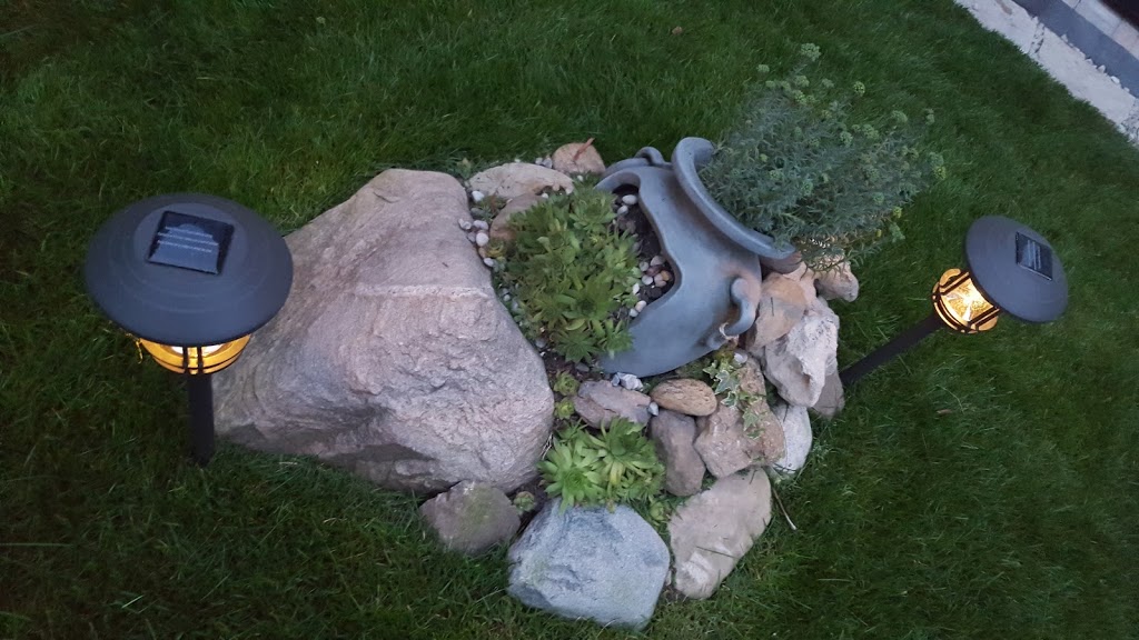 Langs Clean Garden | 259 Thorncrest Dr, Waterloo, ON N2L 4L2, Canada | Phone: (647) 760-1255