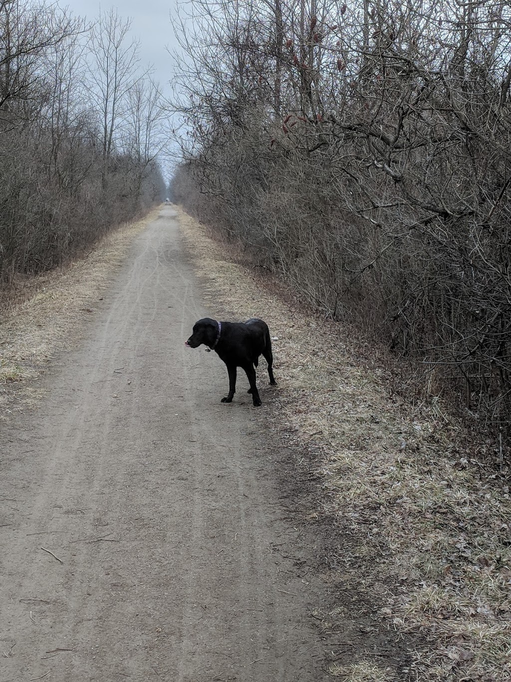 Chippewa Electric Rail Trail | Hamilton, ON L0R 1P0, Canada