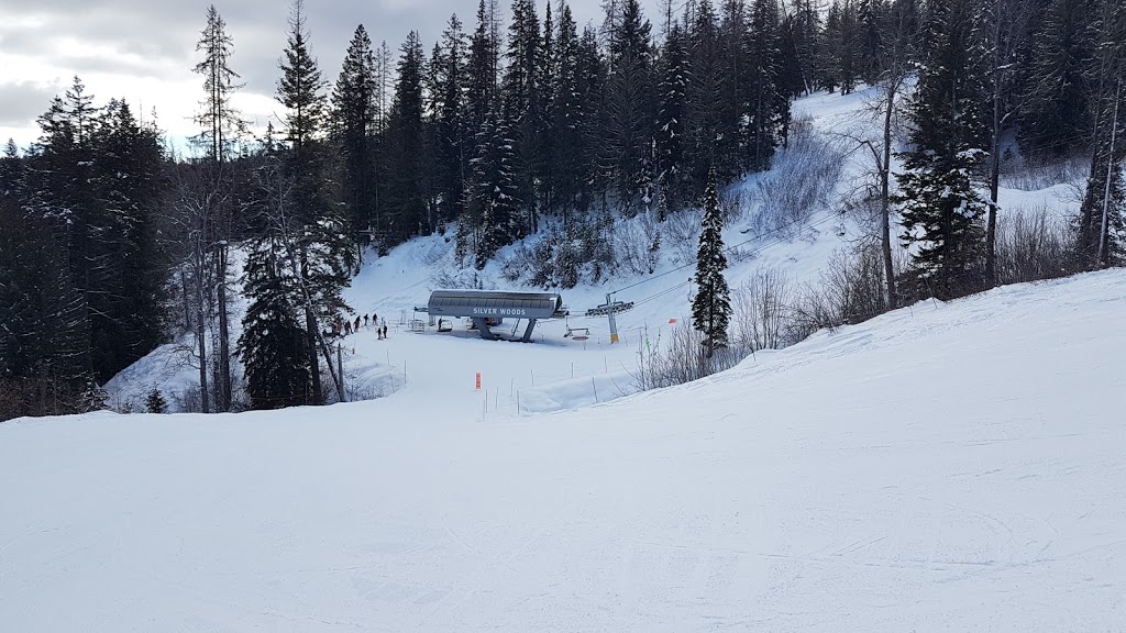 Silver Woods Express | North Okanagan C, BC V1B 3W9, Canada