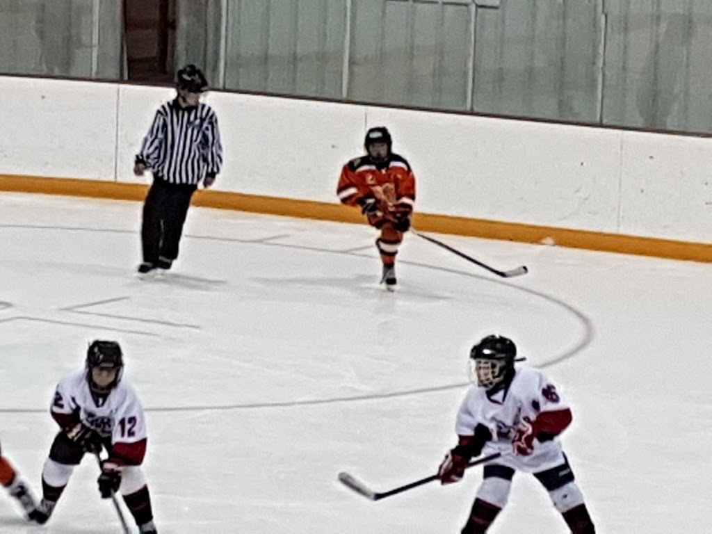 Centennial Arena | 202 3 AVE, Three Hills, AB T0M 2A0, Canada | Phone: (403) 443-5632