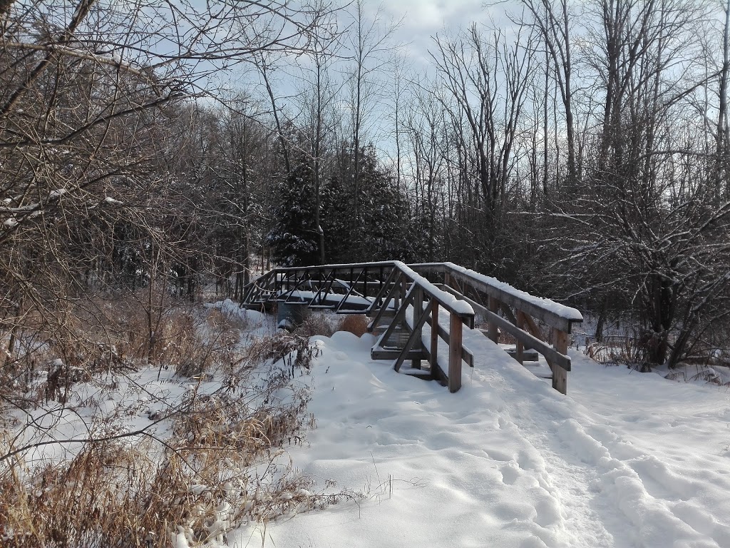Bleasdell Boulder Conservation Area | Trenton, Quinte West, ON K8V 5P6, Canada | Phone: (613) 394-4829
