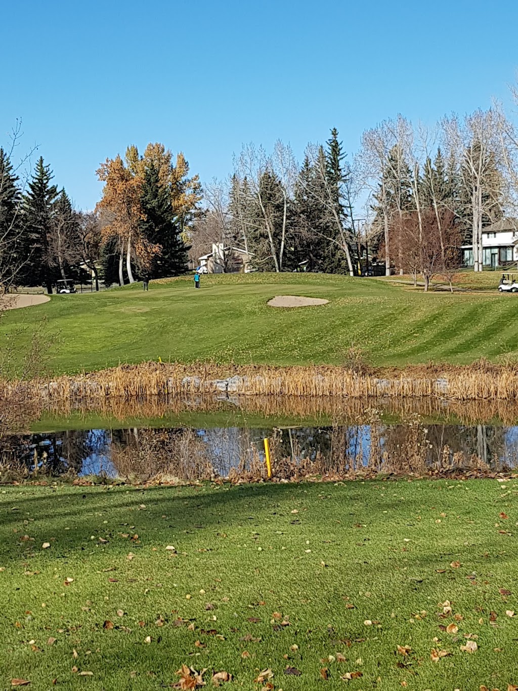 Maple Ridge Golf Course | point of interest | 1240 Mapleglade Dr SE, Calgary, AB T2J 2G6, Canada | 4033001004 OR +1 403-300-1004