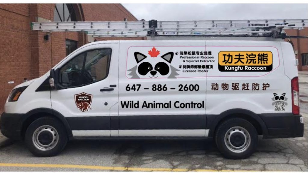 功夫浣熊 | Kennedy Rd, Markham, ON L3R 0N8, Canada | Phone: (647) 886-2600