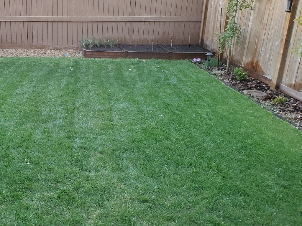 Dr. Green Services Inc. | 22032 113 Ave NW, Edmonton, AB T5S 2V7, Canada | Phone: (855) 374-5296