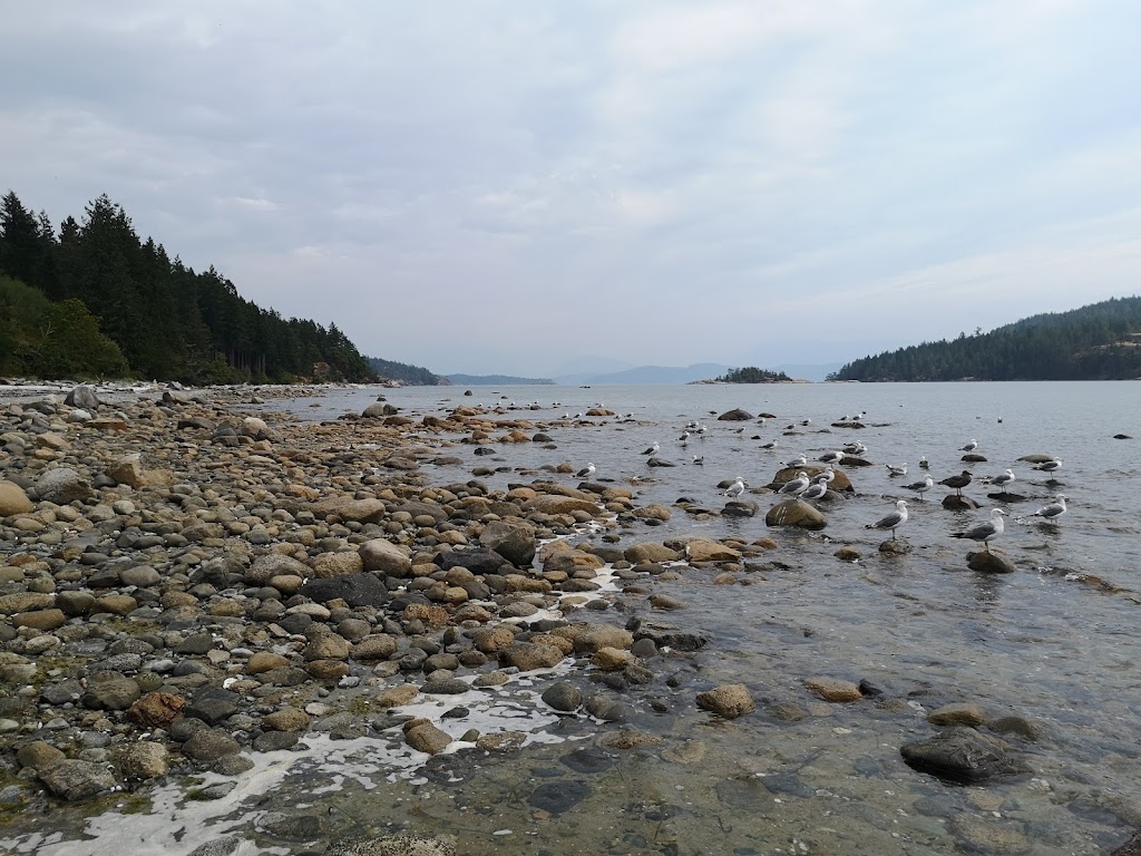 Boathouse - Waterfront Accommodation on Cortes Island | Seascape Rd, Mansons Landing, BC V0P 1K0, Canada | Phone: (250) 935-6795
