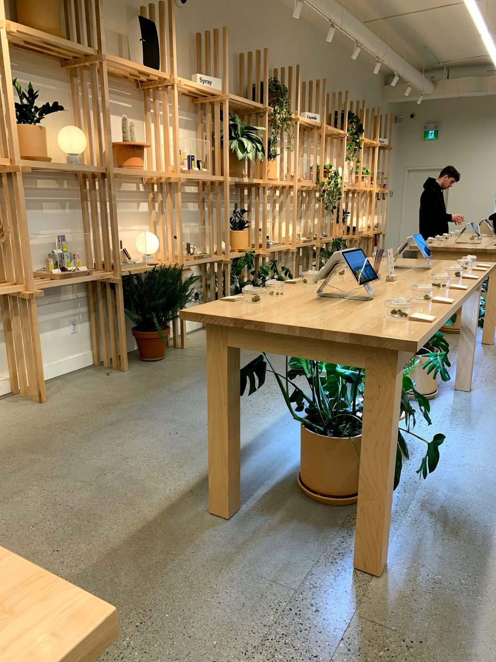 Hobo Cannabis Company | 4-2121 Springfield Rd, Kelowna, BC V1Y 7X1, Canada | Phone: (250) 860-0076