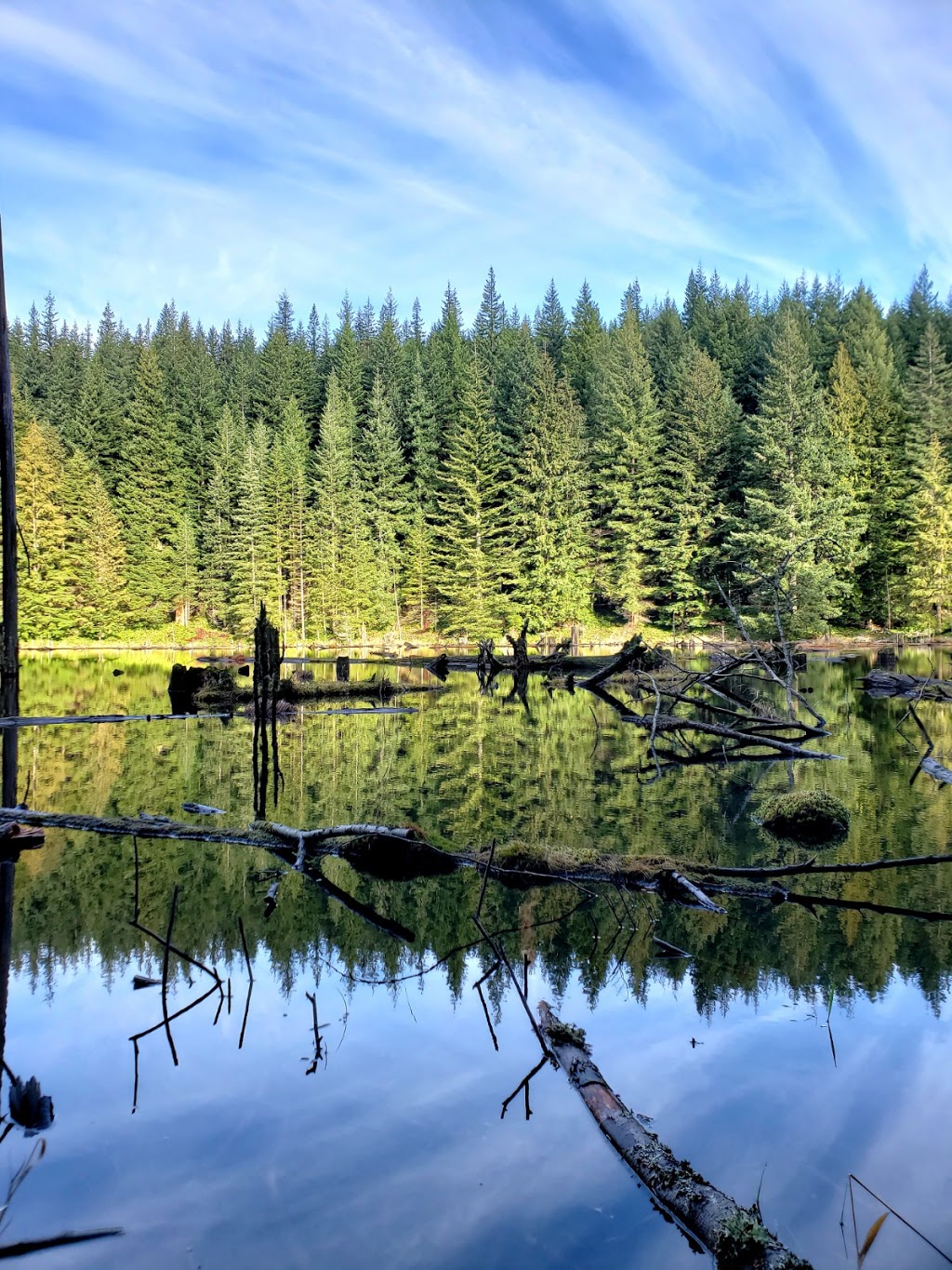 Oyster Dome Trailhead | Pacific NW Trail, Bow, WA 98232, USA