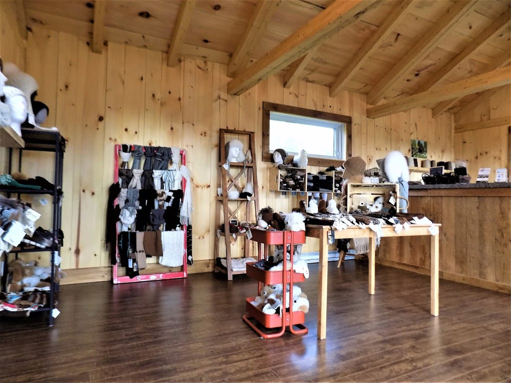 Alpagas DHam Nature | 567 Rang Nault, Victoriaville, QC G6P 7R9, Canada | Phone: (819) 604-7312