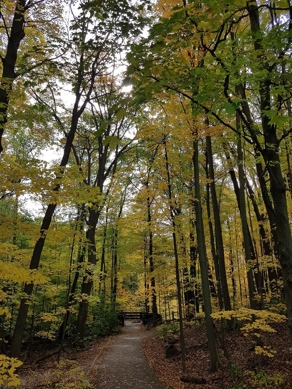 Twickenham Park | Richmond Hill, ON L4C 0E2, Canada | Phone: (905) 771-8870