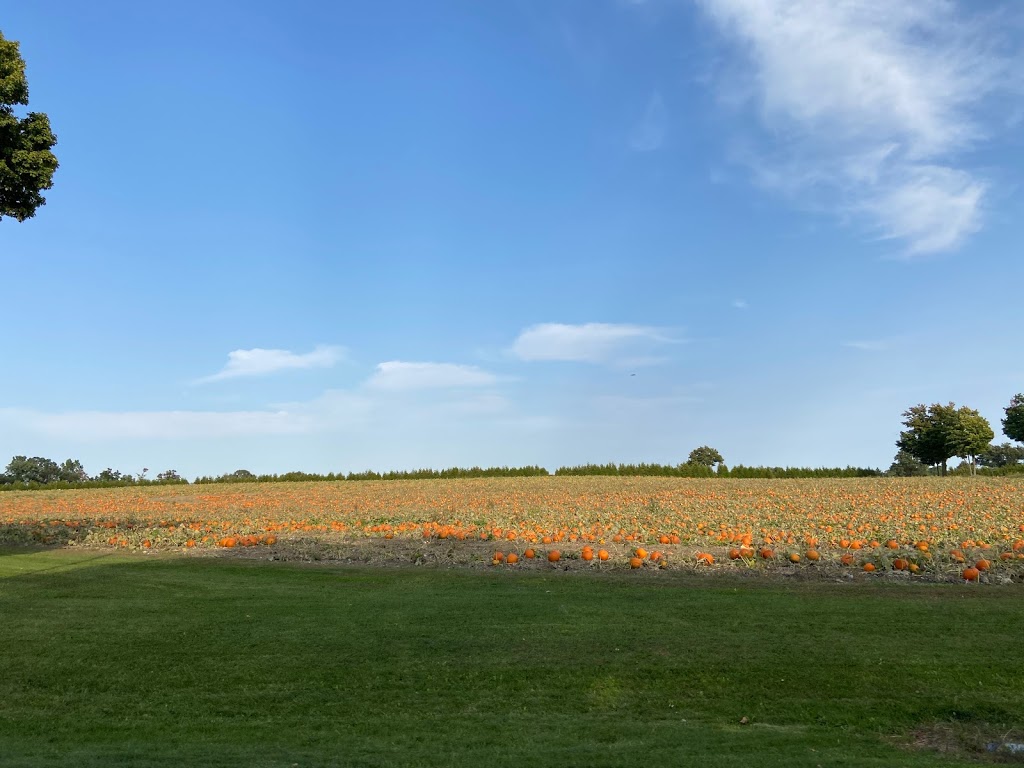True Colours Farm | 939 Norfolk County Rd 19, Wilsonville, ON N0E 1Z0, Canada | Phone: (519) 443-0036