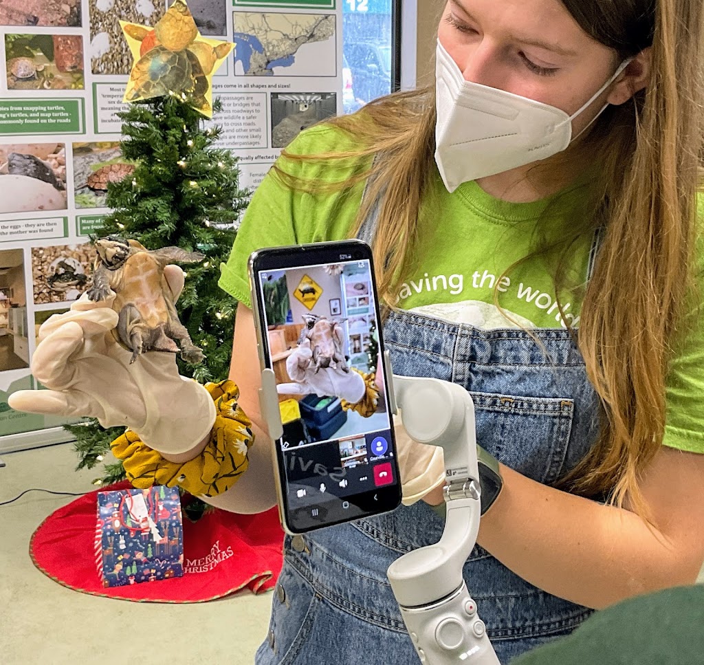 OTCC Turtle Education Centre | 1434 Chemong Rd #4, Peterborough, ON K9J 6X2, Canada | Phone: (705) 741-5000